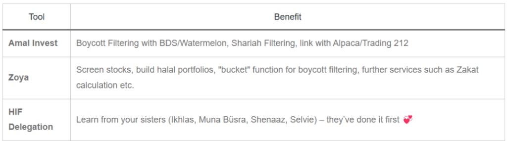 Ethical Purist investor profile overview showing managed halal portfolio options