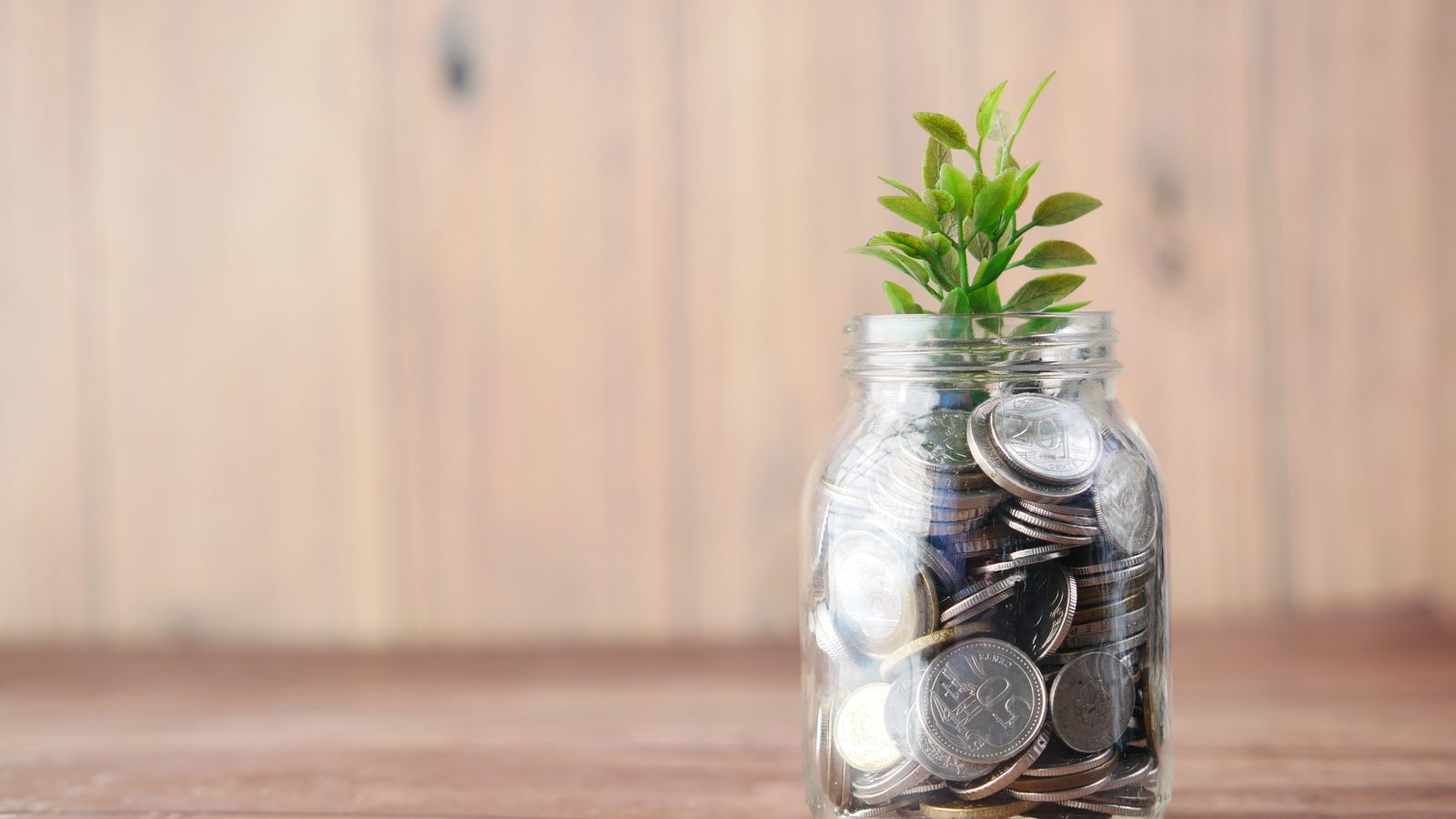 Coins in a glass jar with a young plant growing from it, representing wealth that grows through real activity